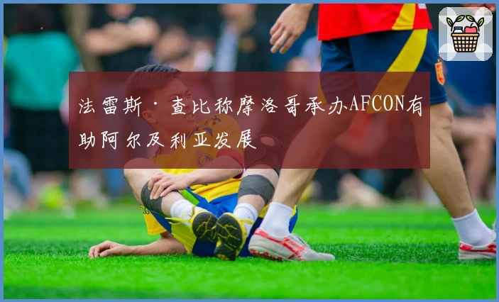 法雷斯·查比称摩洛哥承办AFCON有助阿尔及利亚发展